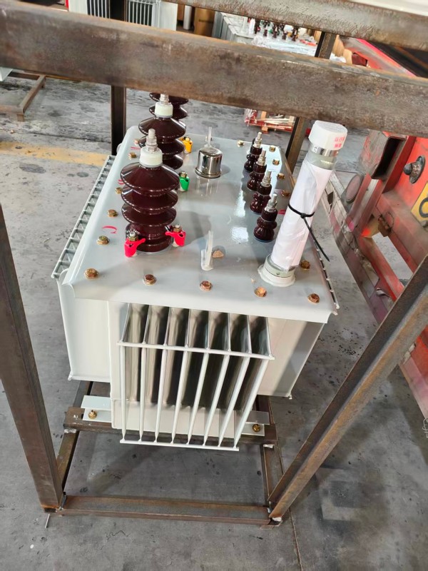 S13‑1000kVA <a href='https://botou.xdbyq.cn/youjinshi/' target='_blank' title='泊头油浸式变压器'><strong>泊头油浸式变压器</strong></a> 大型厂区 S13 泊头泊头泊头油浸式变压器 S13‑1000kVA 泊头泊头泊头油浸式变压器 大型厂区 S13 泊头泊头泊头油浸式变压器